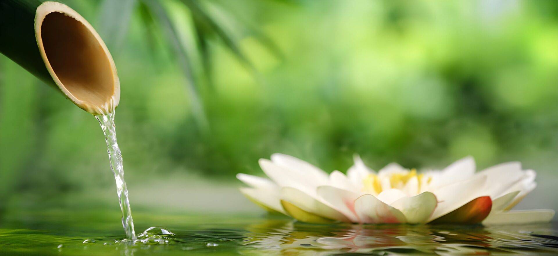 Wasser fließt aus einem Bambusrohr, daneben schwimmt eine weiße Seerose