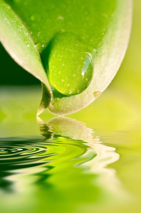 Wassertropfen auf einem grünen Blatt, darunter Wellen im Wasser
